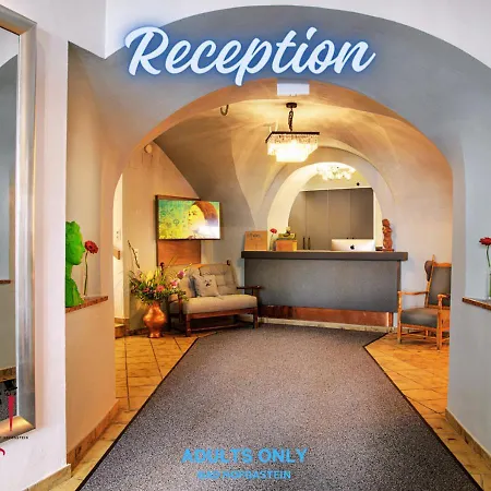 - The Storks - Adults Only *