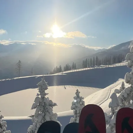 - The Storks - Adults Only