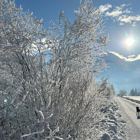 Hotel - The Storks - Adults Only *