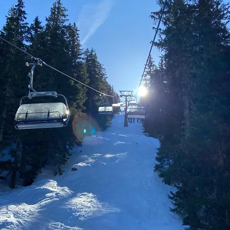 - The Storks - Adults Only Bad Hofgastein