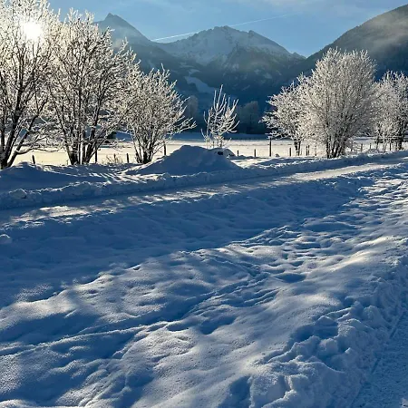 - The Storks - Adults Only