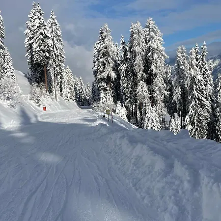 - The Storks - Adults Only Hotel