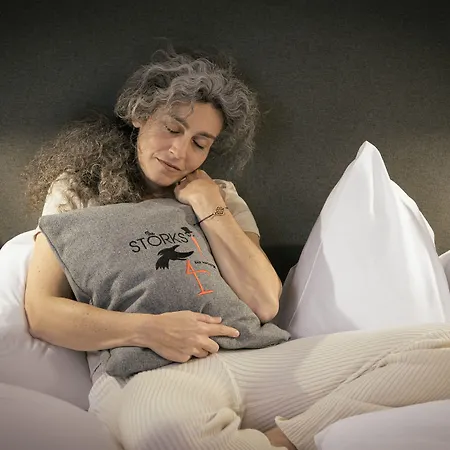 - The Storks - Adults Only Hotel