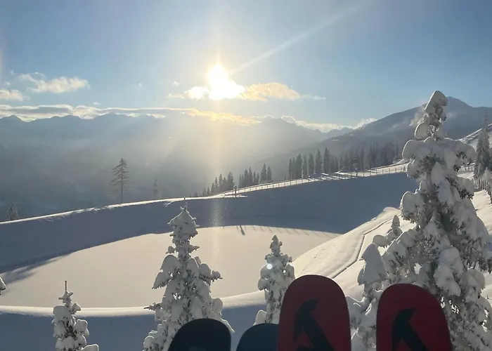 - The Storks - Adults Only